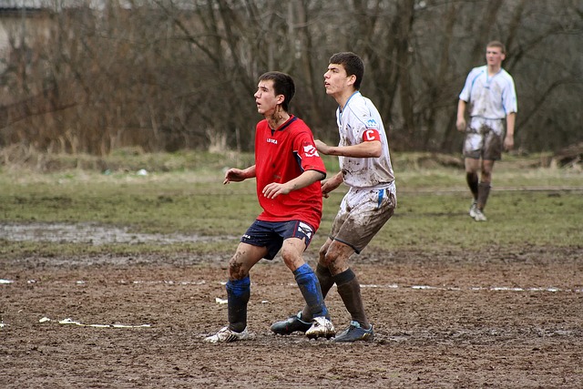 球的人都期 球的人都期