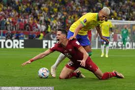 的灵活性 的灵活性