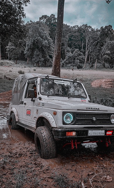 了新的活力 了新的活力