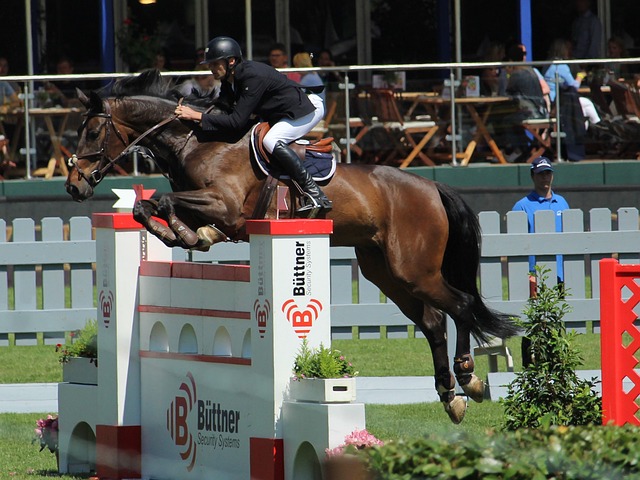 库兹马爆发，字母哥火力全开，小波特替补凶猛，雄鹿124-145老鹰.