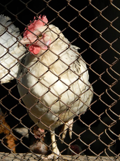 提前锁定女单冠军！乒乓球亚洲杯今日收官 赛程→.